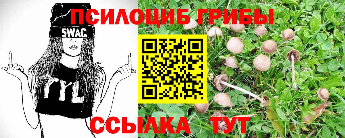 Псилоцибиновые грибы MAGIC MUSHROOMS Строитель
